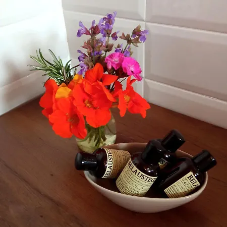 Belaustegi Gospodarstwo wiejskie Ispáster